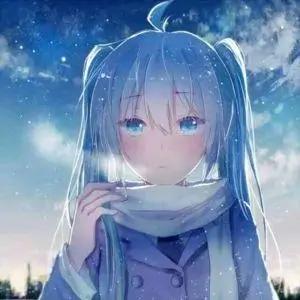 情侣动漫头像 雪国组合冬日对视